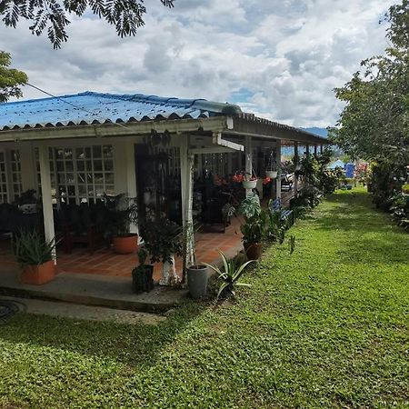 Villa Monica 몬테네그로 외부 사진