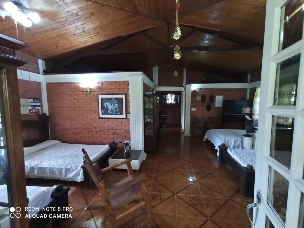 Villa Monica 몬테네그로 외부 사진