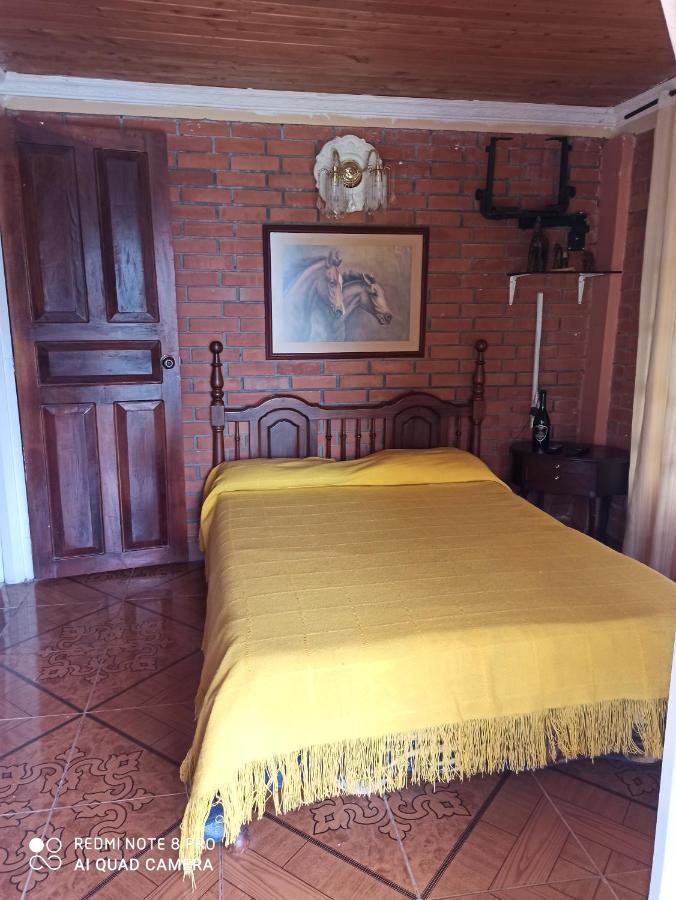 Villa Monica 몬테네그로 외부 사진