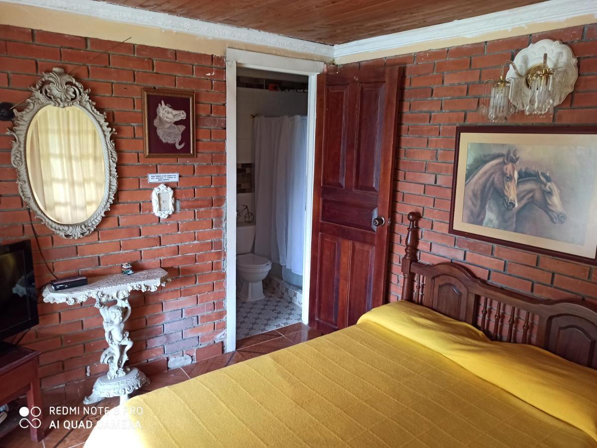 Villa Monica 몬테네그로 외부 사진