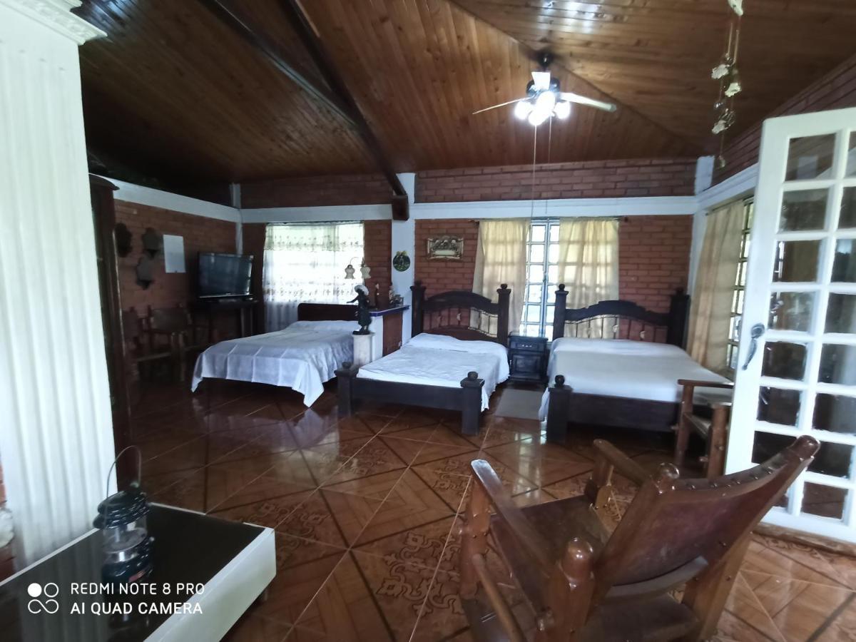 Villa Monica 몬테네그로 외부 사진