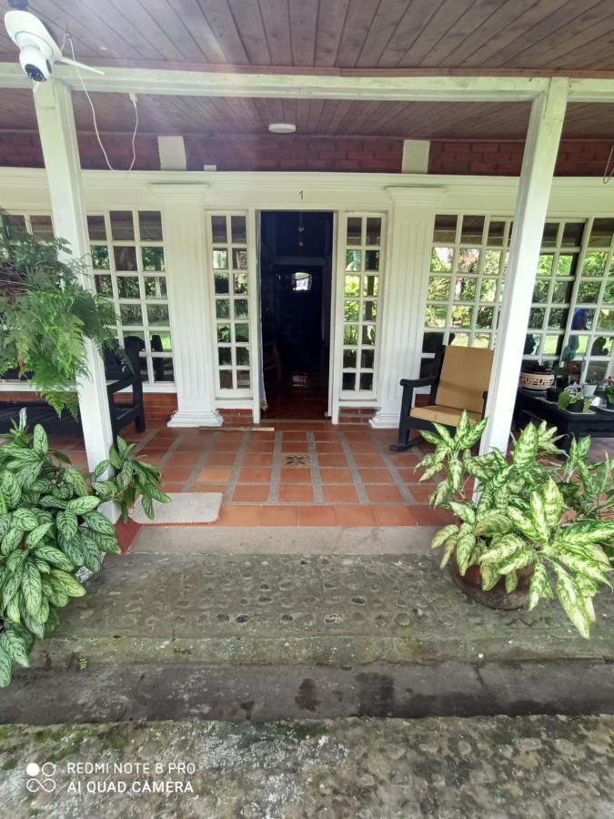 Villa Monica 몬테네그로 외부 사진